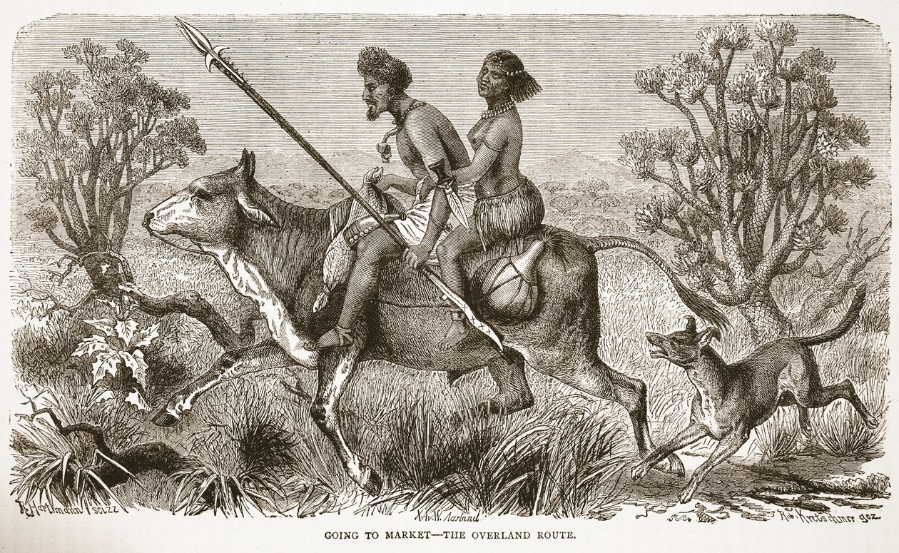 Yendo al mercado - la ruta terrestre, ilustración de The Pictorial Edition of the Life and Discoveries of David Livingstone por J. Ewing Richie, pub. por A. Fullarton & Co., 1876 de English School