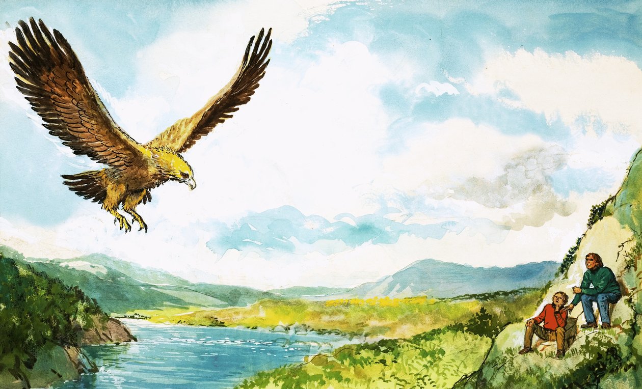 Águila real de English School