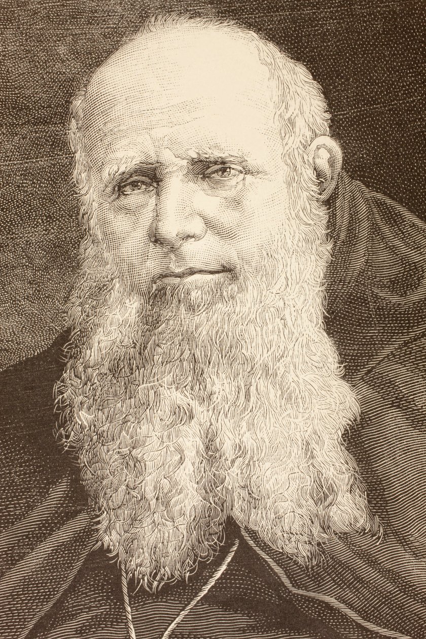 Guglielmo Massaia (litografía) de English School
