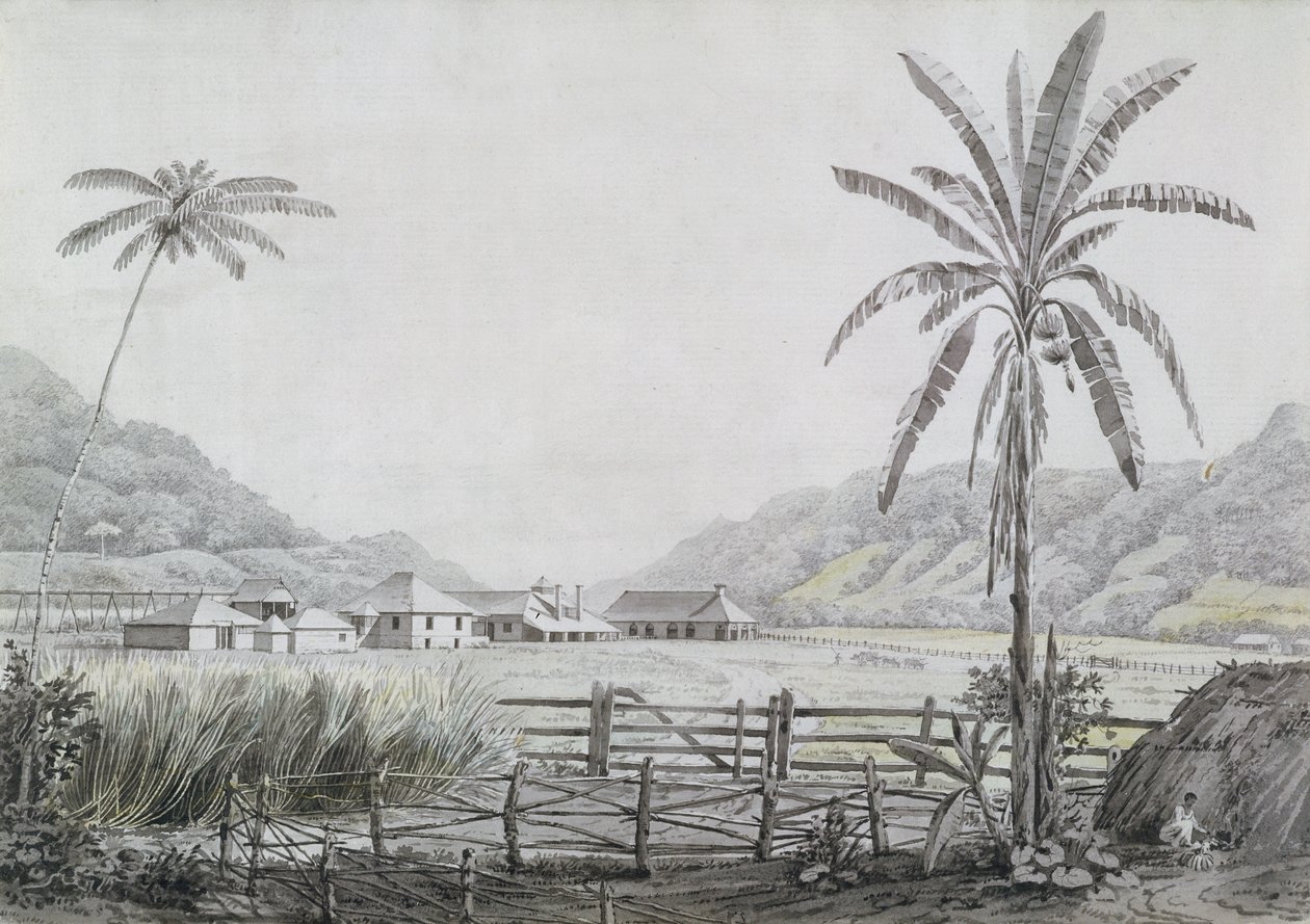 Halse Hall, Jamaica, c.1780 de English School