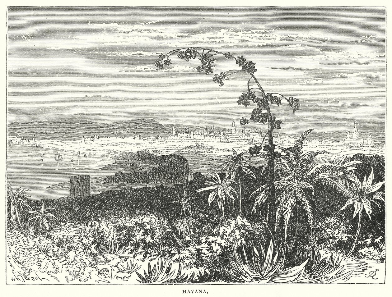 La Habana (grabado) de English School