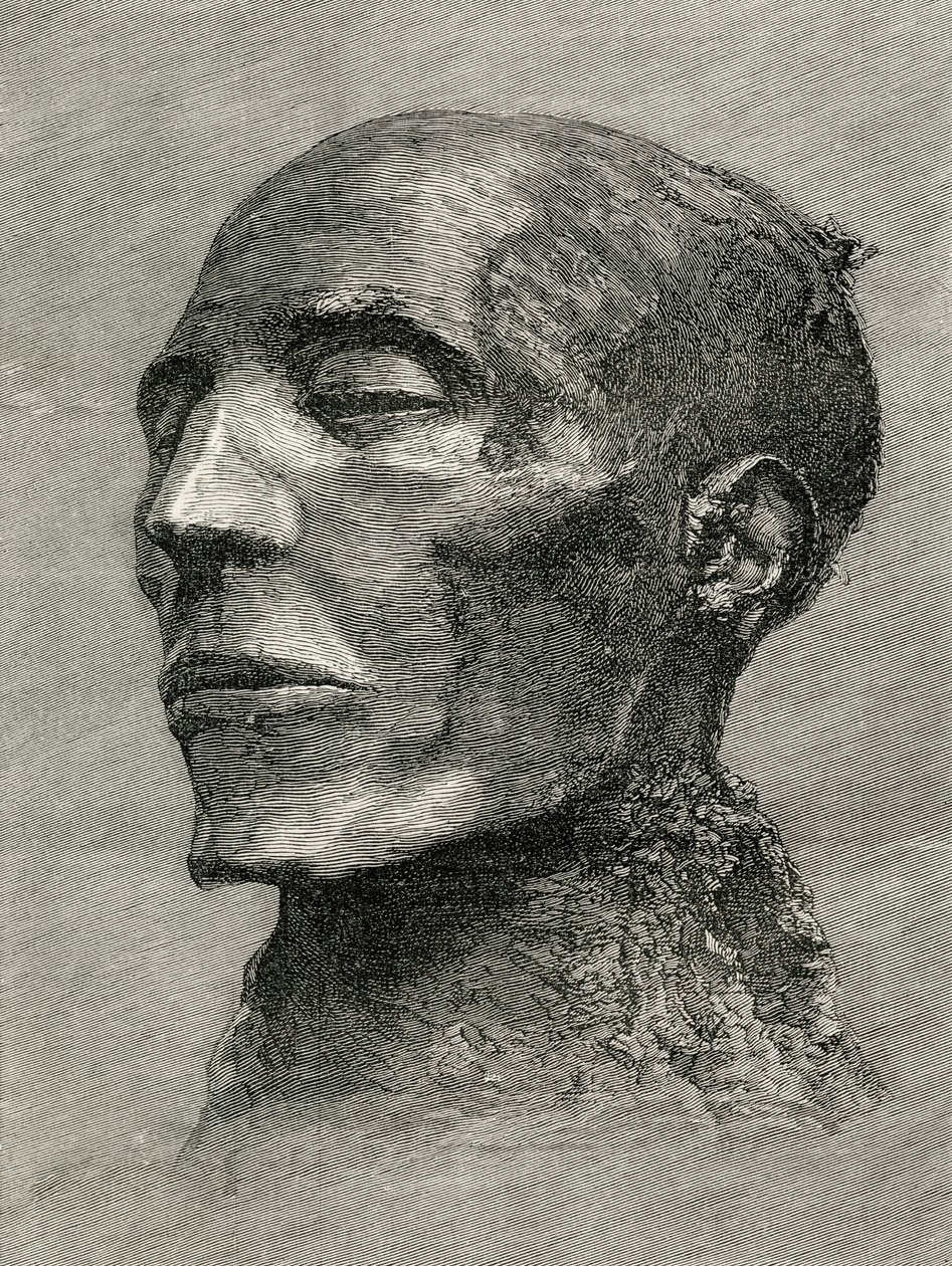 Cabeza de la momia de Menmaatre Seti I, también conocido como Sethos I, Faraón del Antiguo Egipto, de The Worlds Inhabitants por G.T. Bettany, publicado en 1888 de English School
