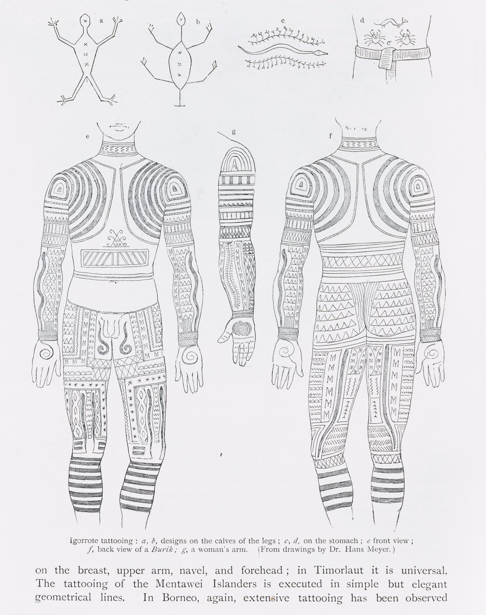 Tatuaje Igorrote, de 