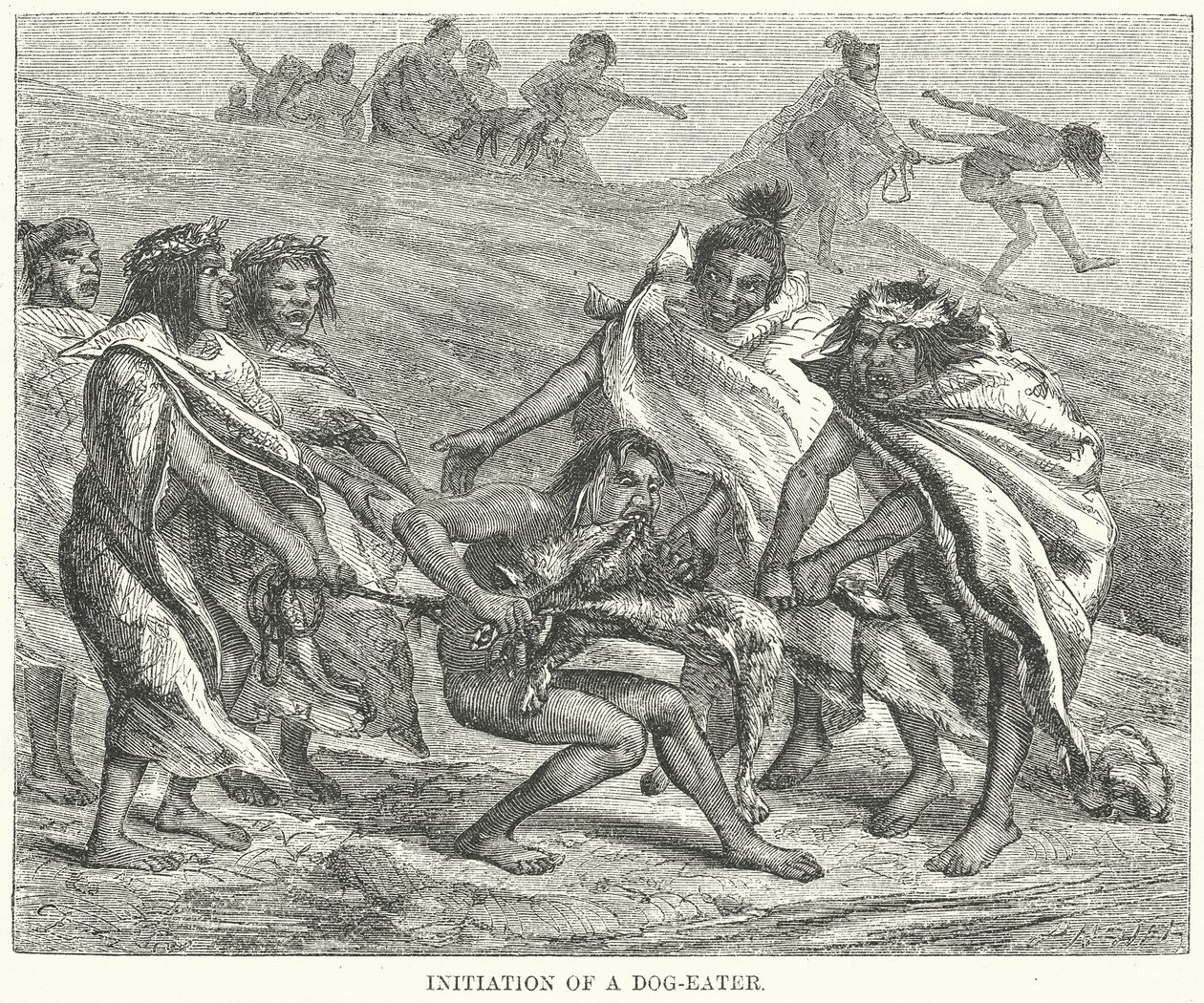 Iniciación de un comedor de perros (grabado) de English School