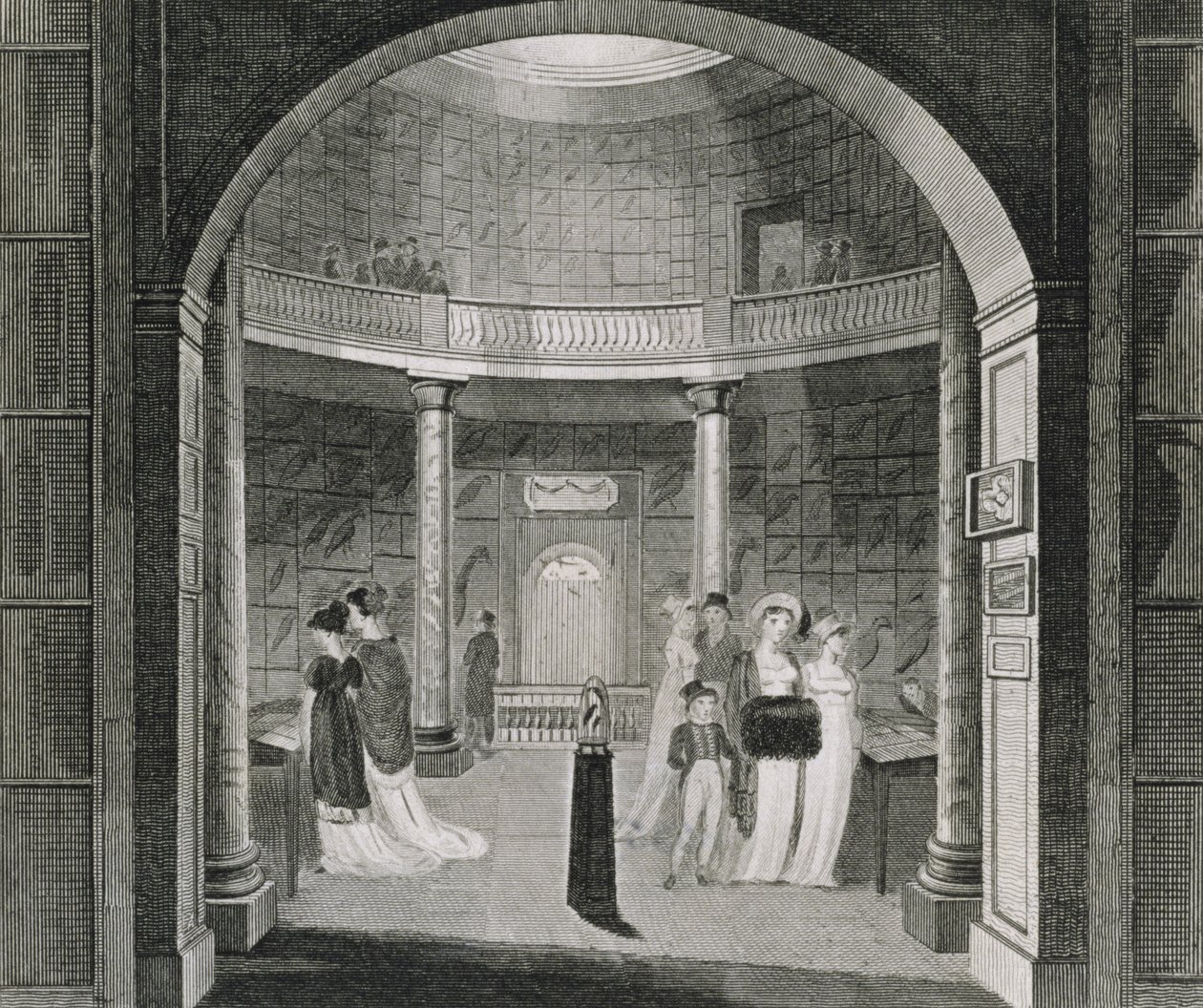 Vista interior del Museo Leverian, 1806 de English School