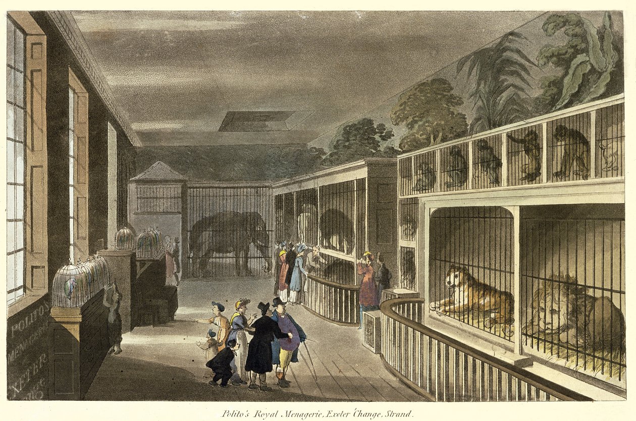 Vista interior de la Menagerie Real de Polito, Exeter Change, Strand, 1812 de English School