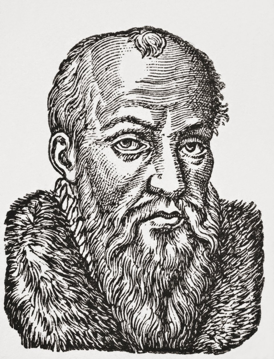 Jacques de Cujas, 1878 de English School