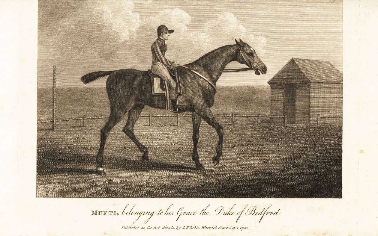Jinete en el célebre caballo de carreras Mufti, perteneciente a su Gracia el Duque de Bedford de English School