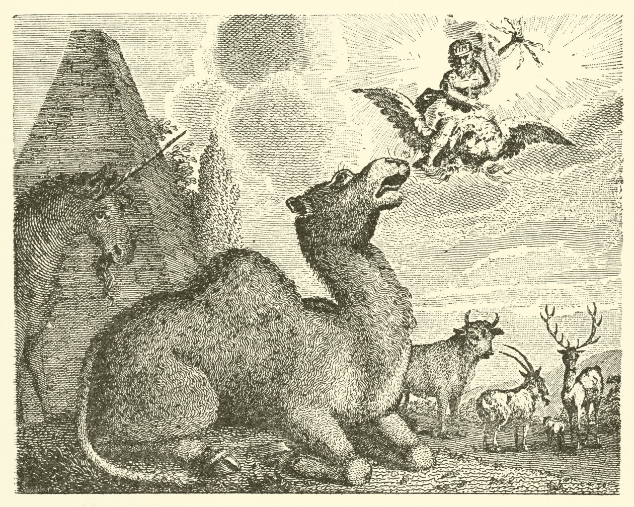 Júpiter y el camello (grabado) de English School