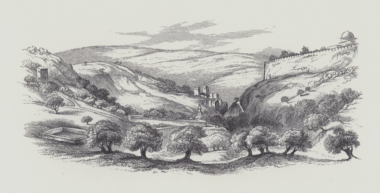 Cedrón (grabado) de English School