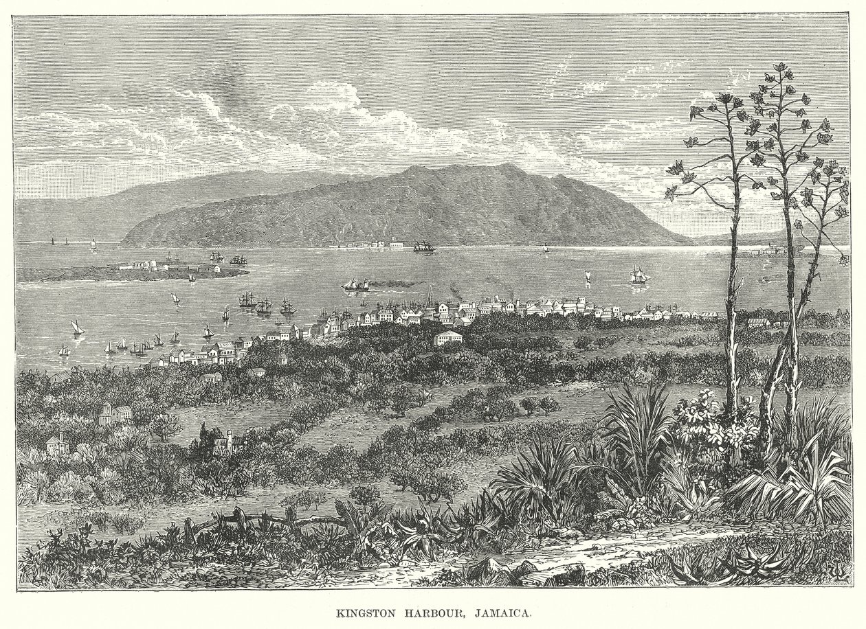 Puerto de Kingston, Jamaica (grabado) de English School