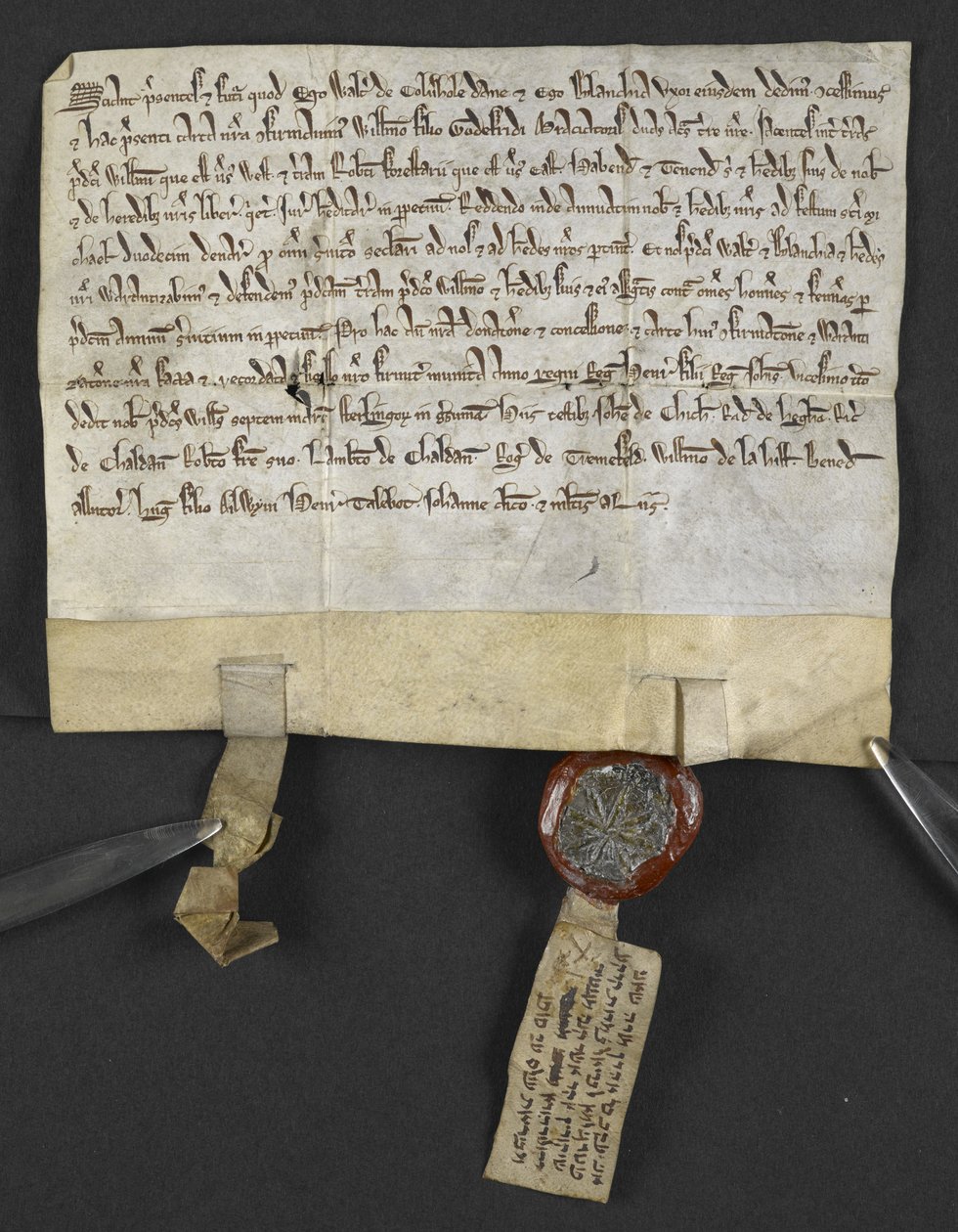 Escritura latina con renuncia hebrea (adjunta al sello), de Jacob ben Aaron cediendo un terreno a William le Briel. Inglaterra de English School