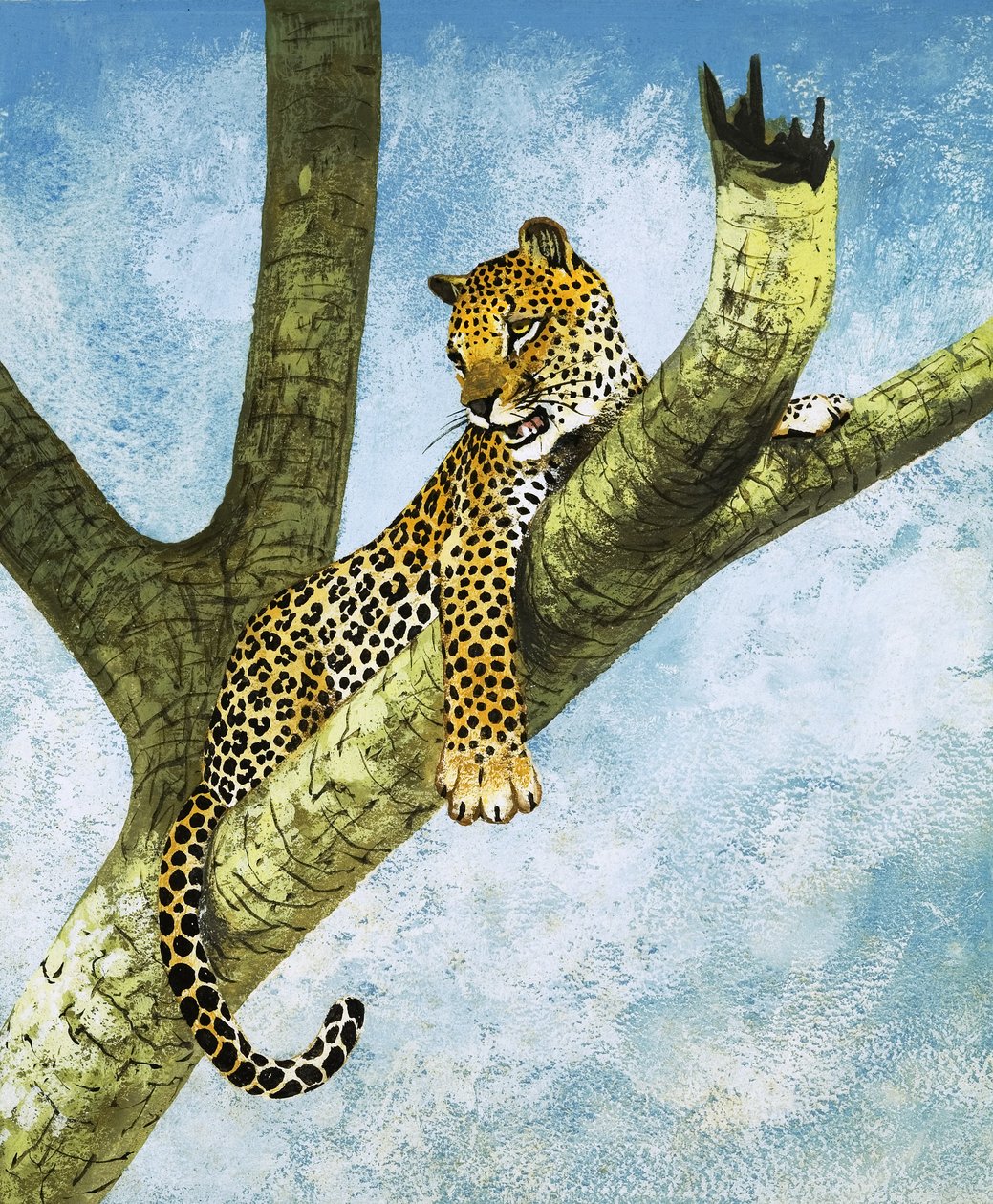 Leopardo en un árbol (gouache sobre papel) de English School