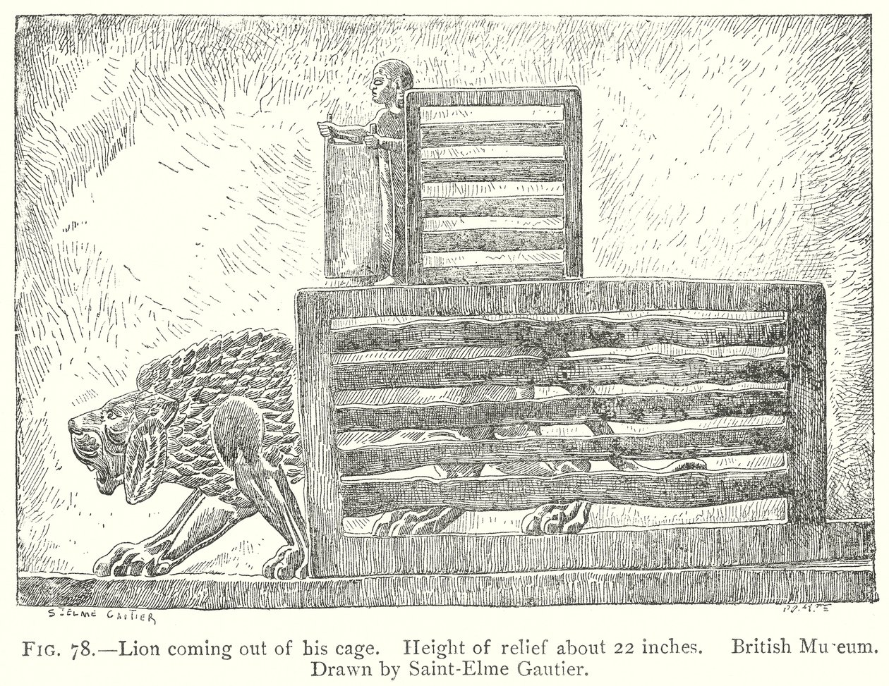 León saliendo de su jaula (grabado) de English School