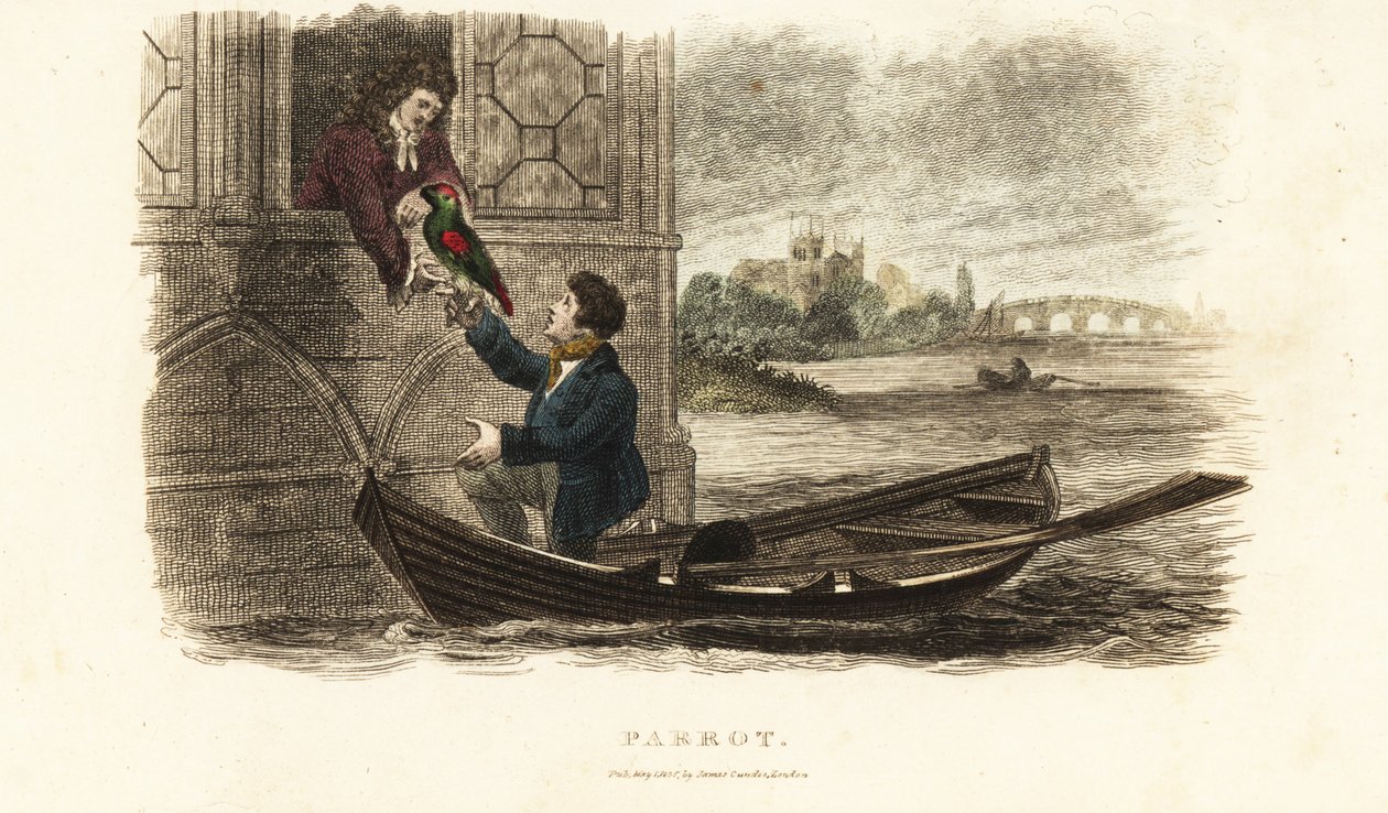 Barquero londinense salvando a un loro parlante perteneciente al rey Enrique VIII de Inglaterra de English School