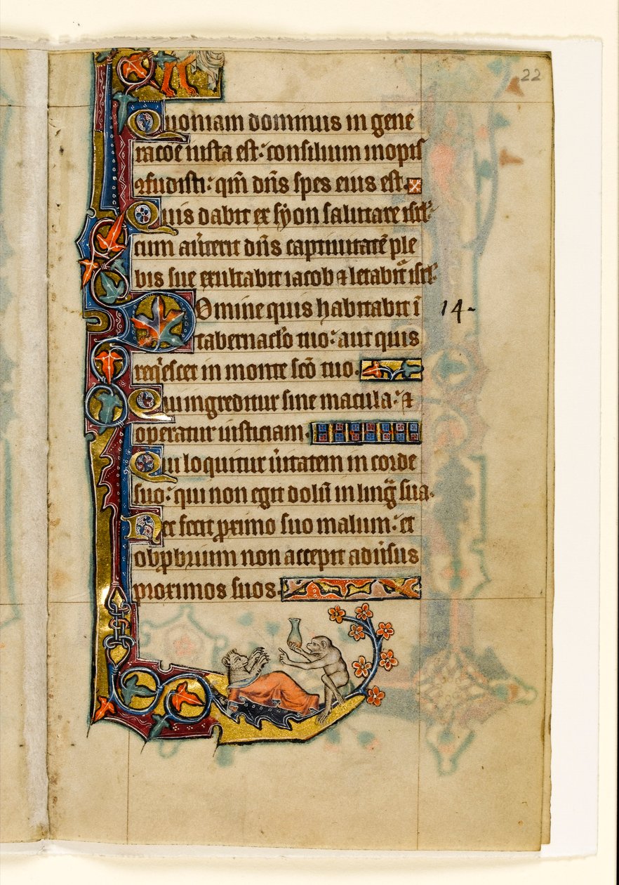 El médico mono y su paciente oso, decoración marginal del Salterio de Macclesfield, Uso de Sarum, East Anglia, c.1330 de English School