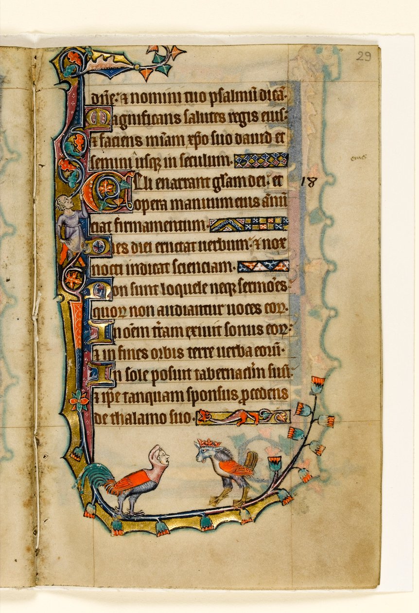 Dos grotescos con forma de pájaro, decoración marginal del Salterio de Macclesfield, Uso de Sarum, East Anglia, c.1330 de English School