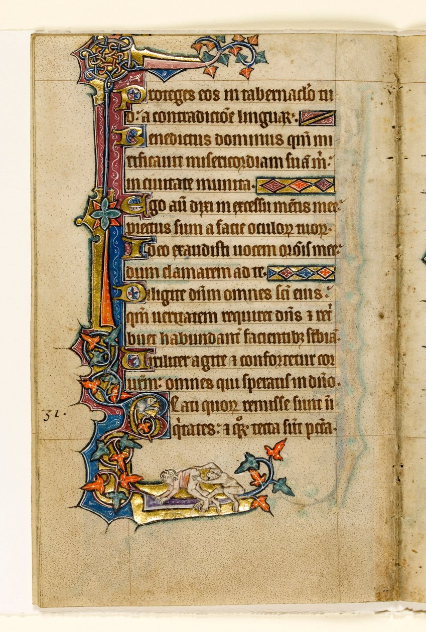 Un mono mirando el trasero de un hombre, decoración marginal del Salterio de Macclesfield, Uso de Sarum, East Anglia, c.1330 de English School