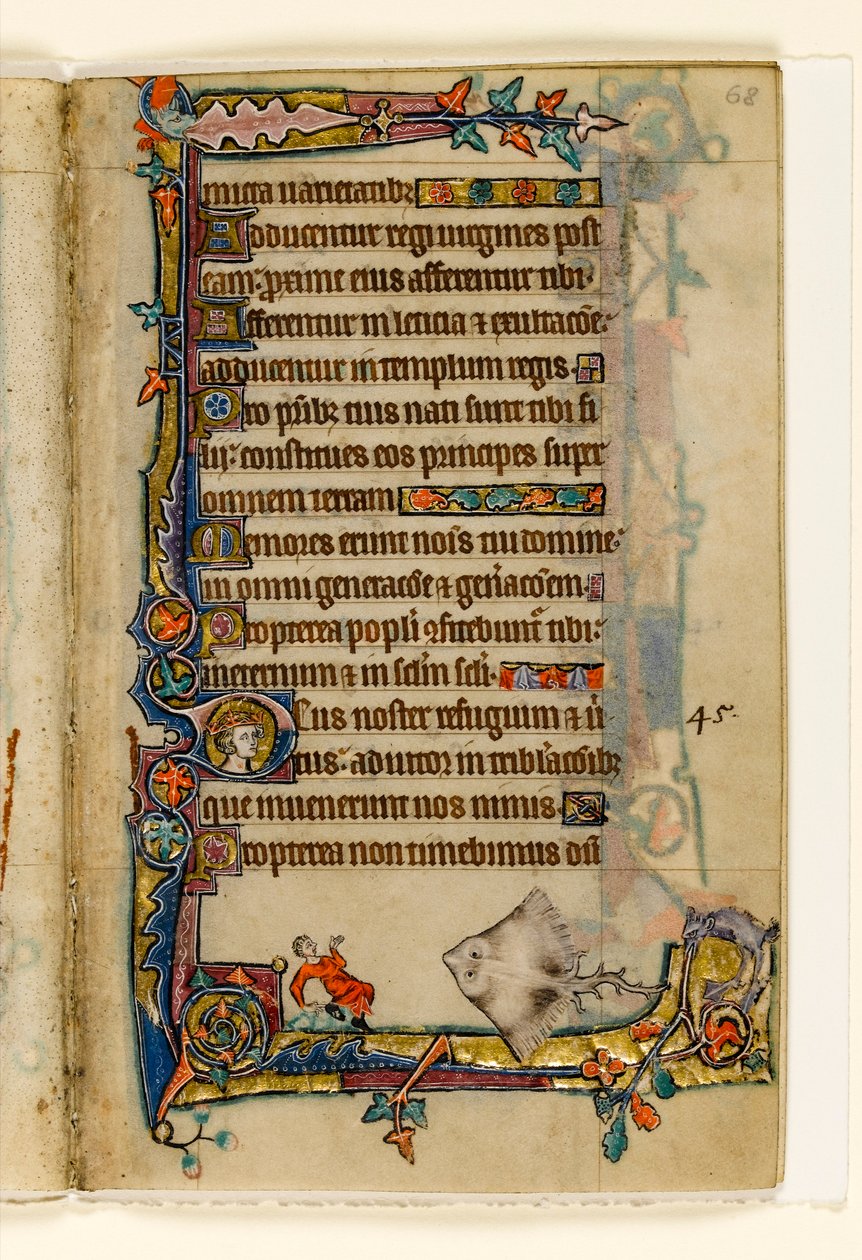 El gigante Skate, decoración marginal del Salterio de Macclesfield, Uso de Sarum, East Anglia, c.1330 de English School