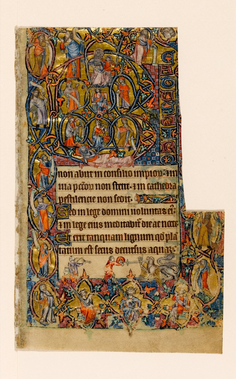 El Árbol de Jesé y la inicial Beatus con músico y combate grotesco, del Salterio de Macclesfield, Uso de Sarum, East Anglia, c.1330 de English School