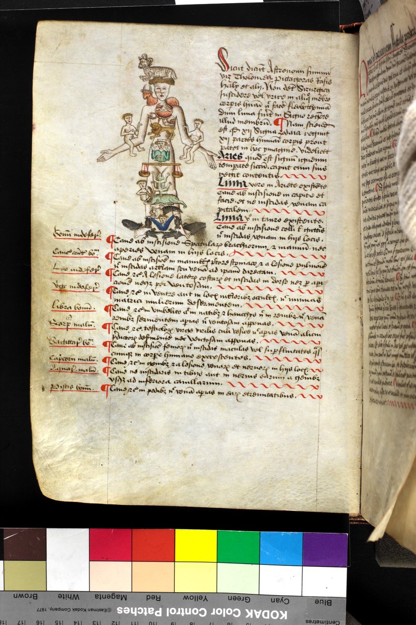 MS Hunter 251 f.47v, ilustración de un 