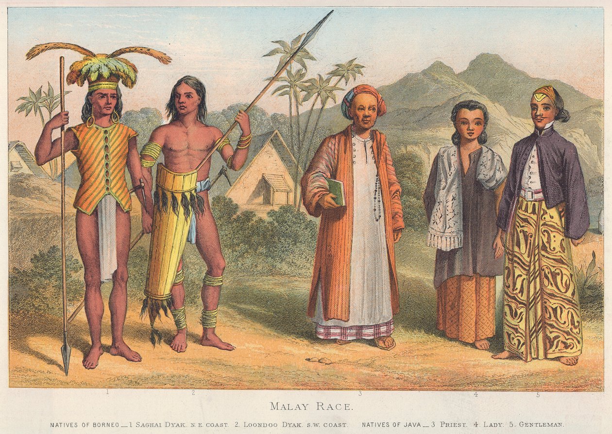 Raza malaya (grabado coloreado) de English School