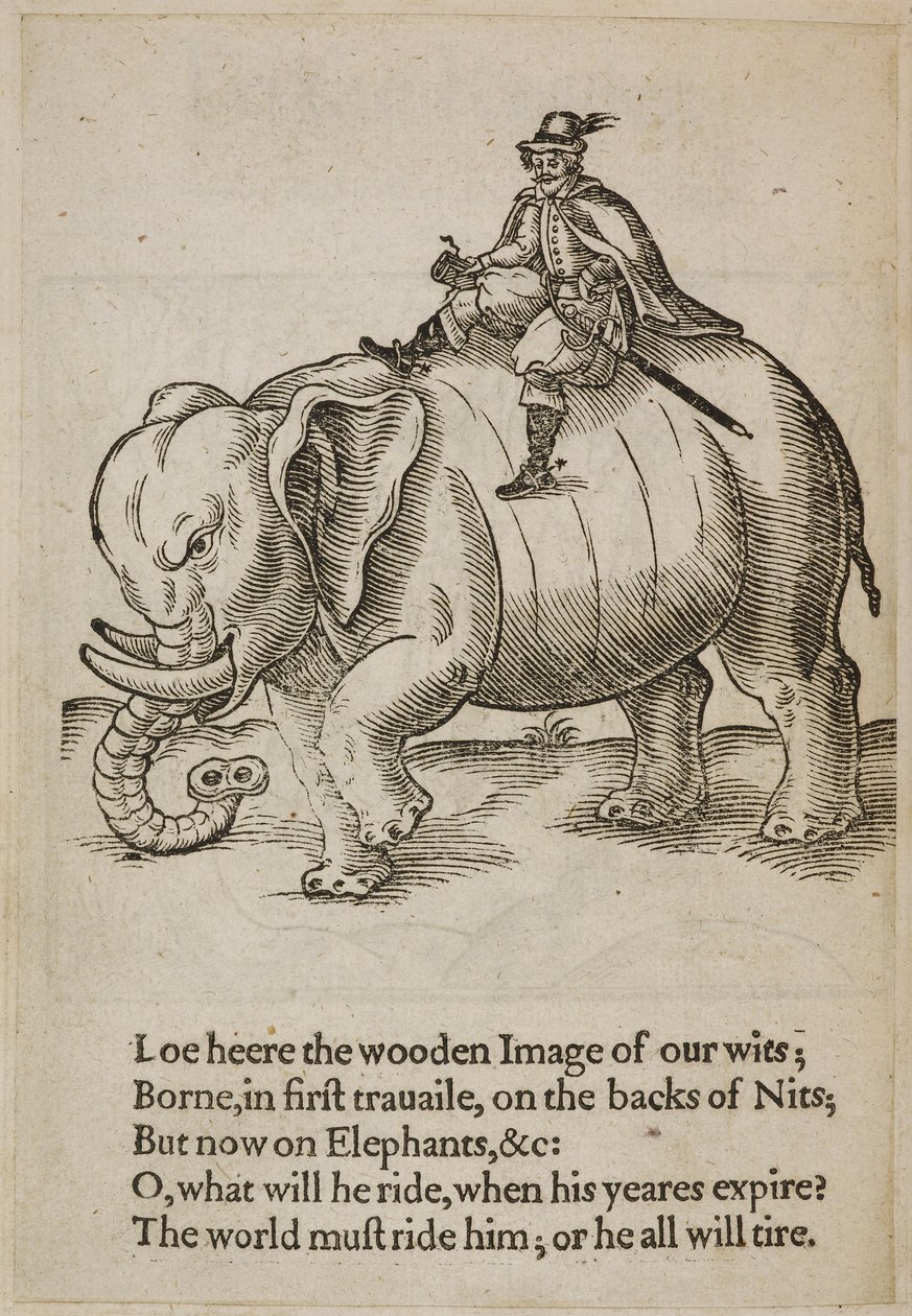Hombre montando un elefante, ilustración de 