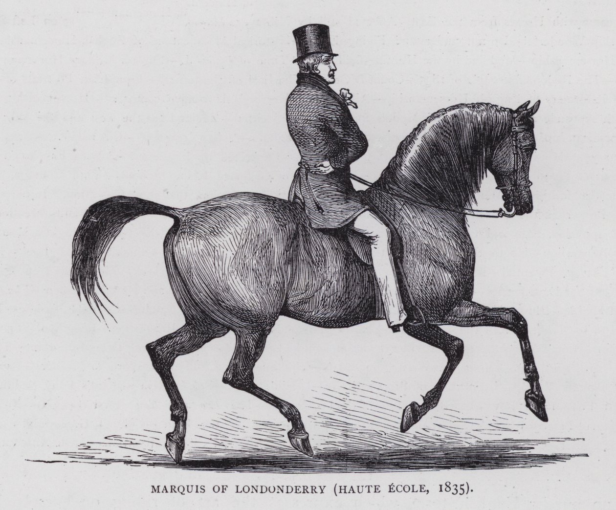 Marqués de Londonderry (grabado) de English School