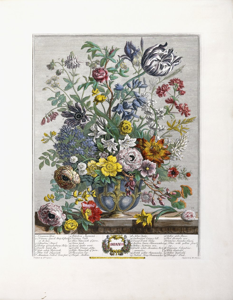 Mayo, 1730 de English School