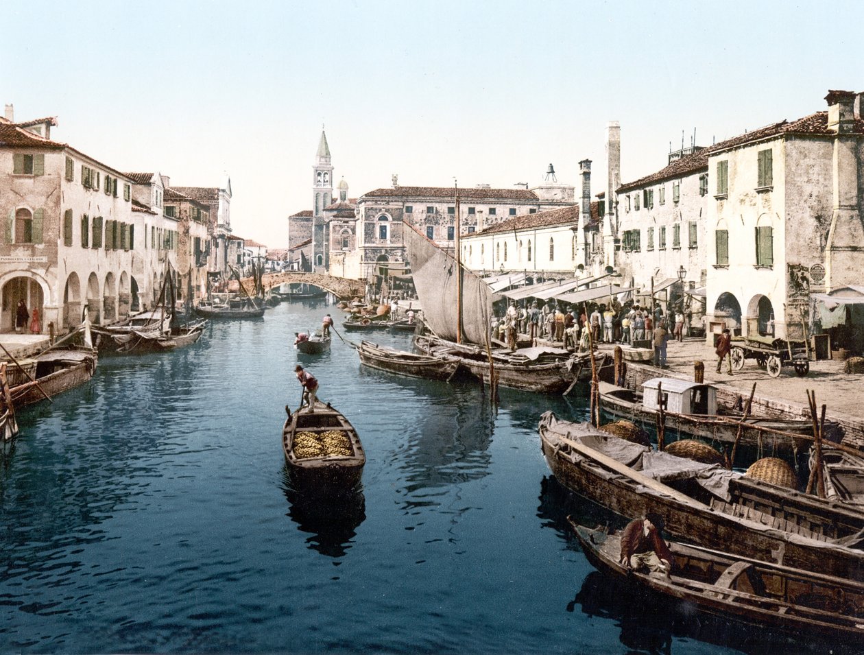 Mercato di Pesce, Chioggia de English School