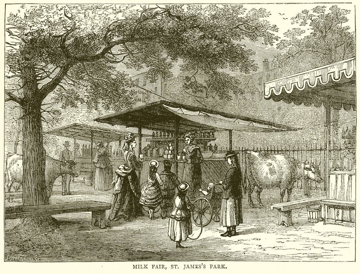 Feria de la Leche, St. James