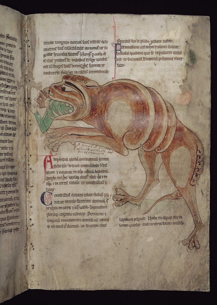 Ms.254 f.24 r Cocodrilo Tragándose a un Hombre de English School