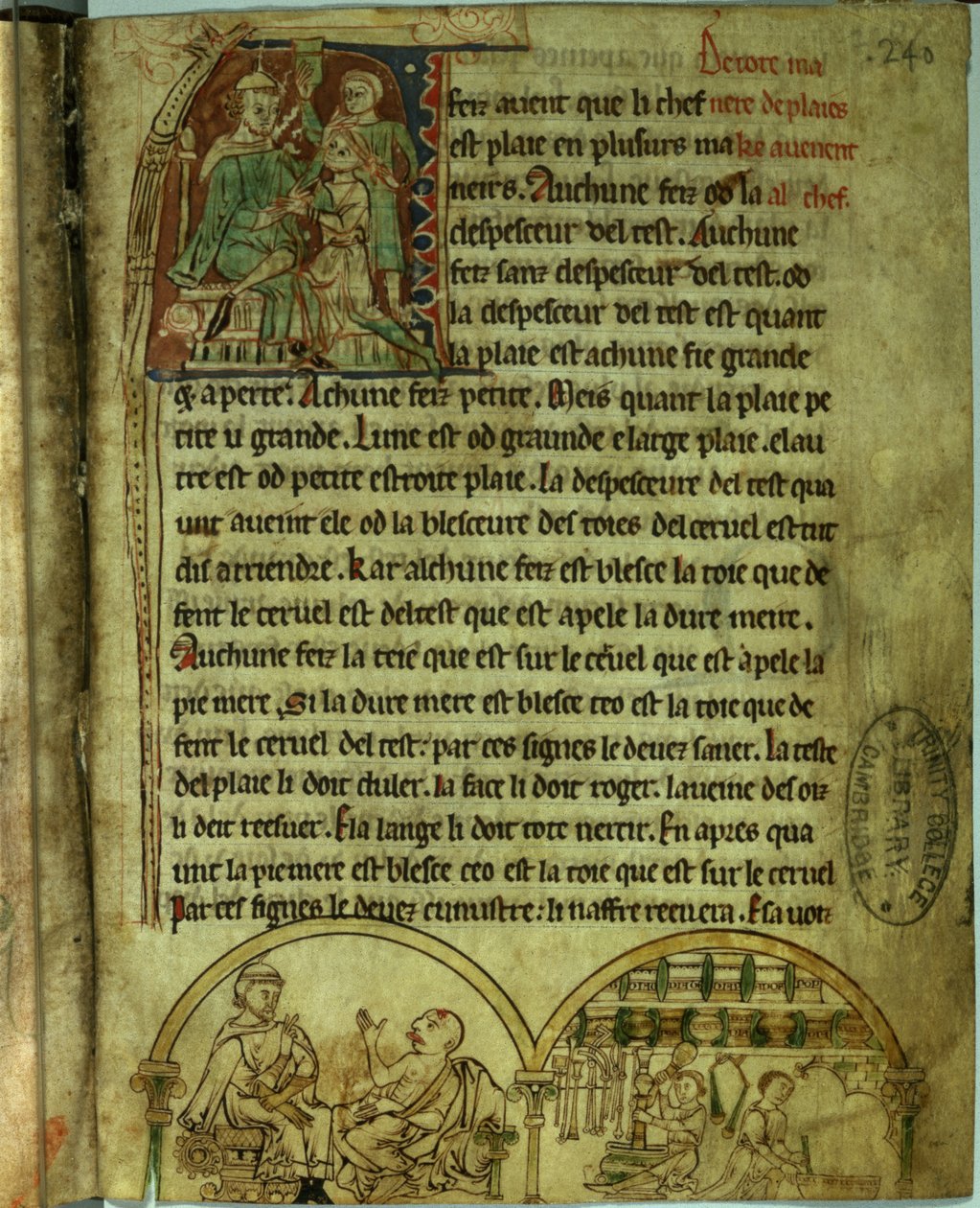 Ms.O.1.20.f.241v Jerónimo: Un médico visitando a un paciente y un boticario, de 