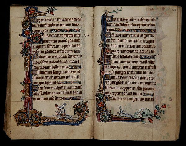 Ms 1-2005, ff.115v-116r: caza de conejos montando un perro, decoración marginal del Salterio de Macclesfield, Uso de Sarum, East Anglia, c.1330 de English School