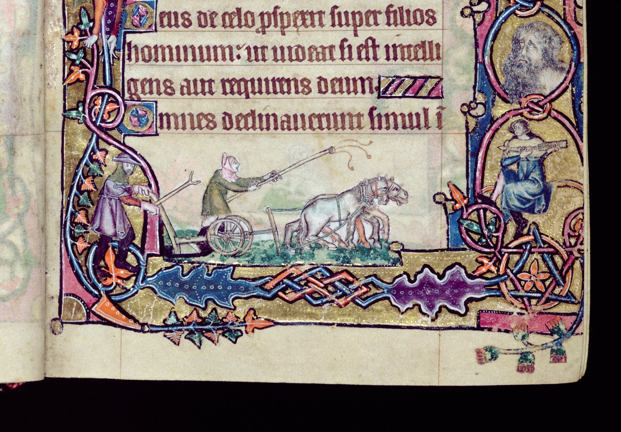 Ms 1-2005, ff.76v-77r: David y el tonto, inicial historiada del Salterio de Macclesfield, Uso de Sarum, East Anglia, c.1330 (detalle) de English School