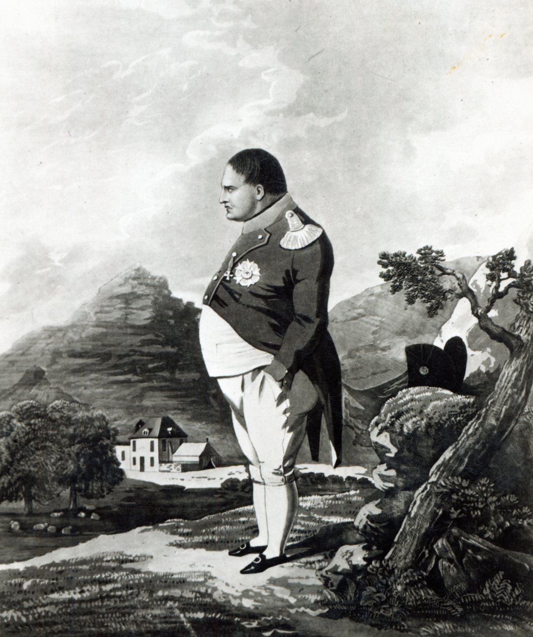 Napoleón en la isla de Santa Elena, 1820 de English School