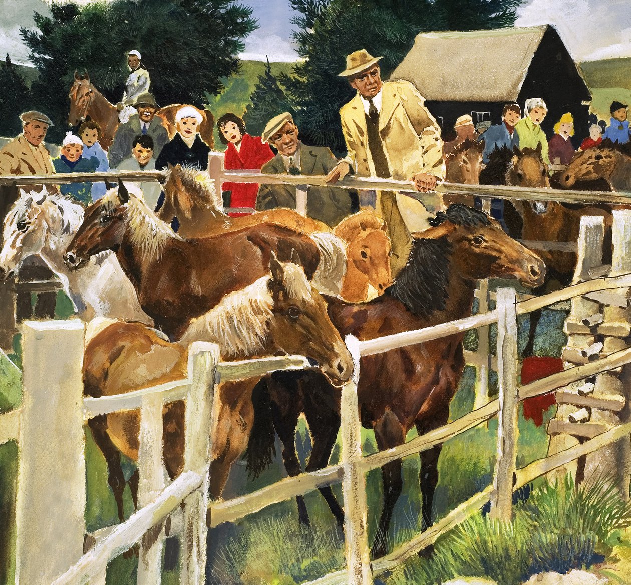 Se venden ponis de New Forest, ilustración de 