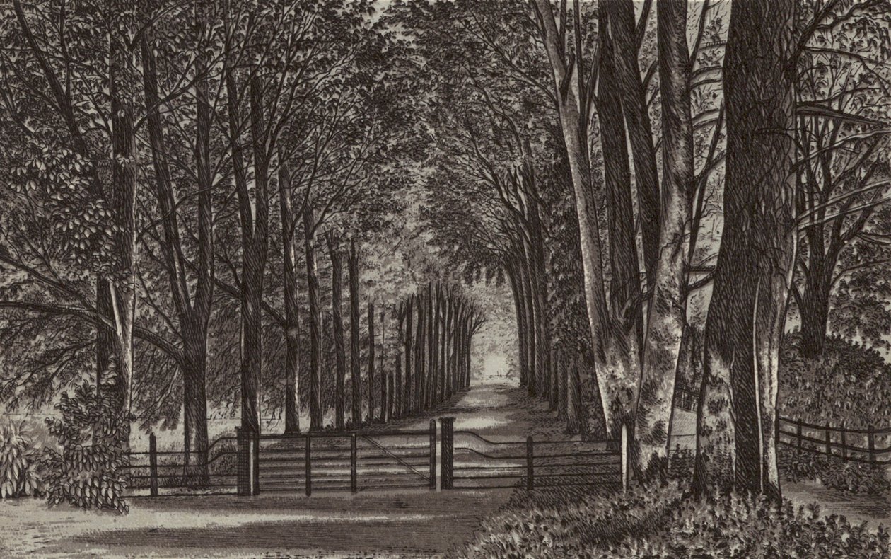 Newbury: Avenue, Highclere Park (litografía) de English School