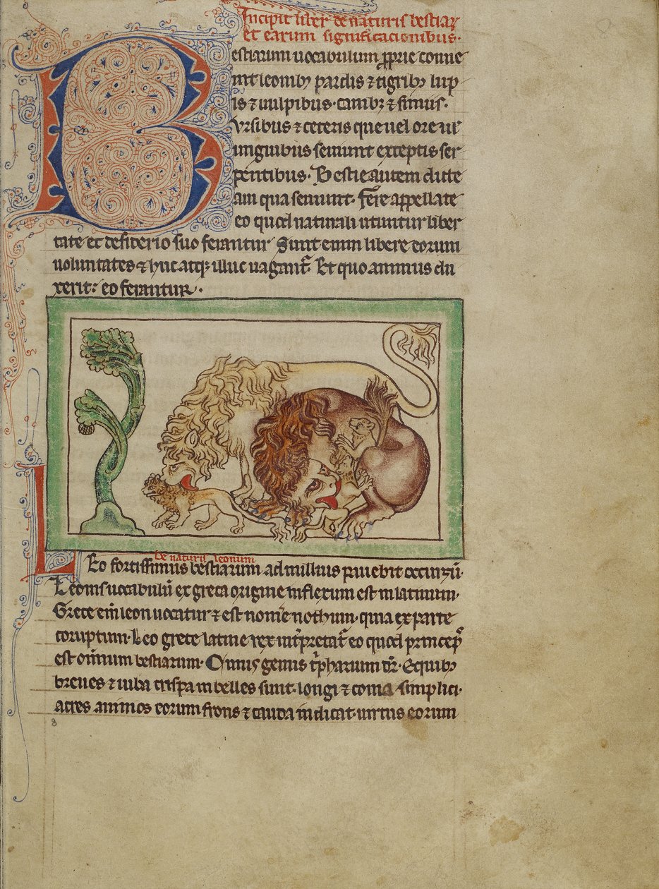 Bestiario de Northumberland, c.1250-60 de English School