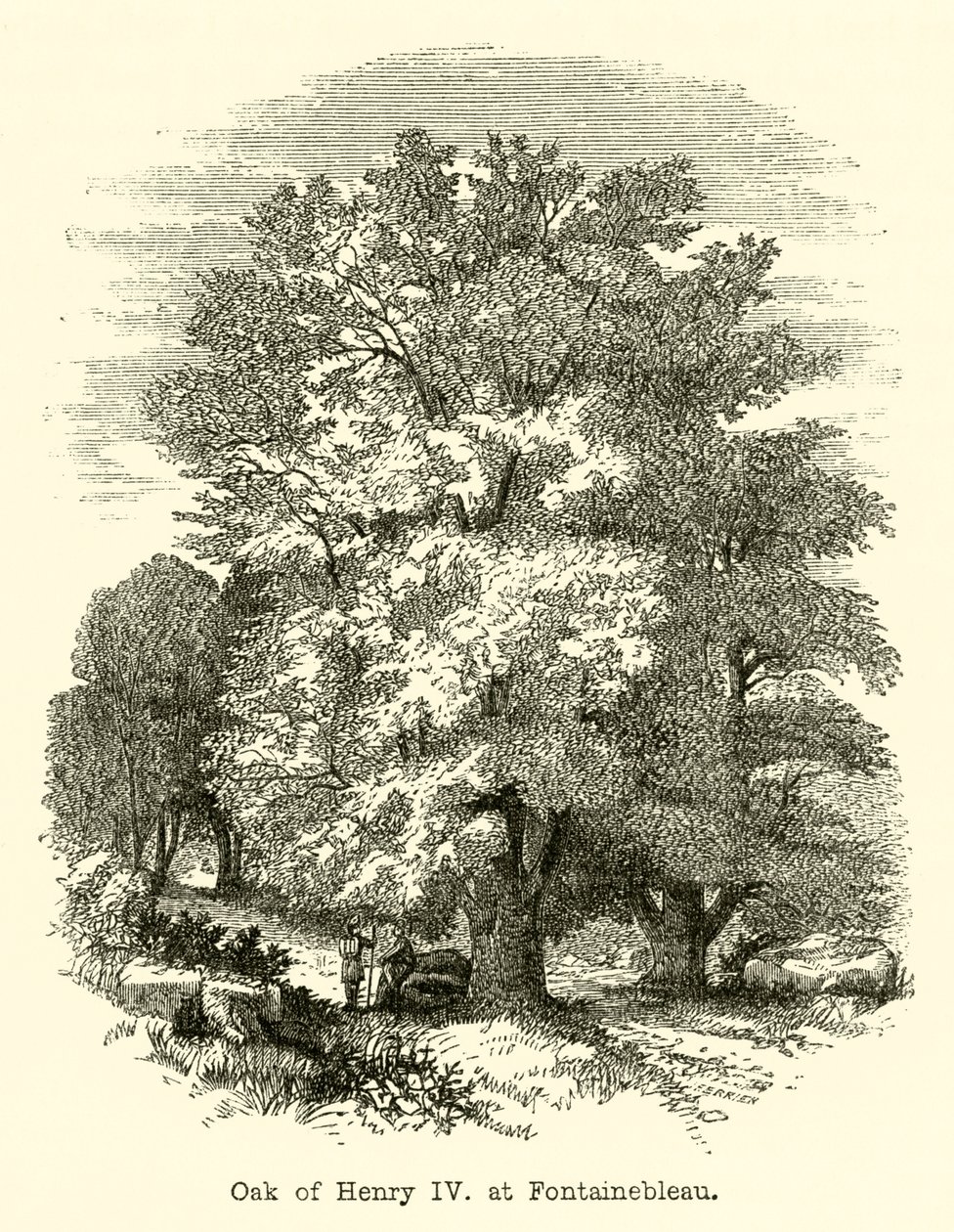 Roble de Enrique IV, en Fontainebleau (grabado) de English School