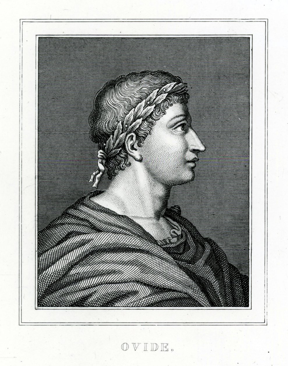 Ovidio de English School