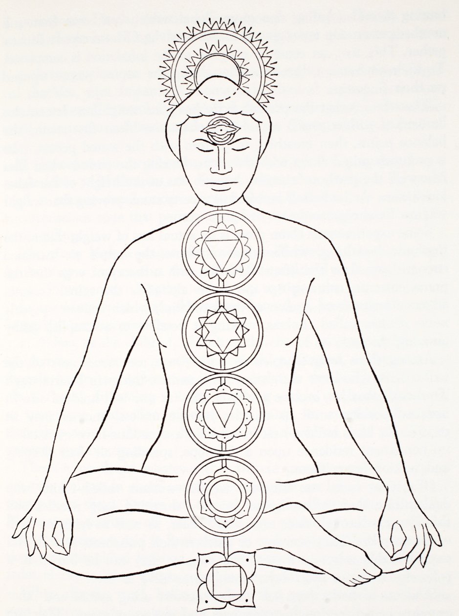 Padmasana o posición de loto de English School