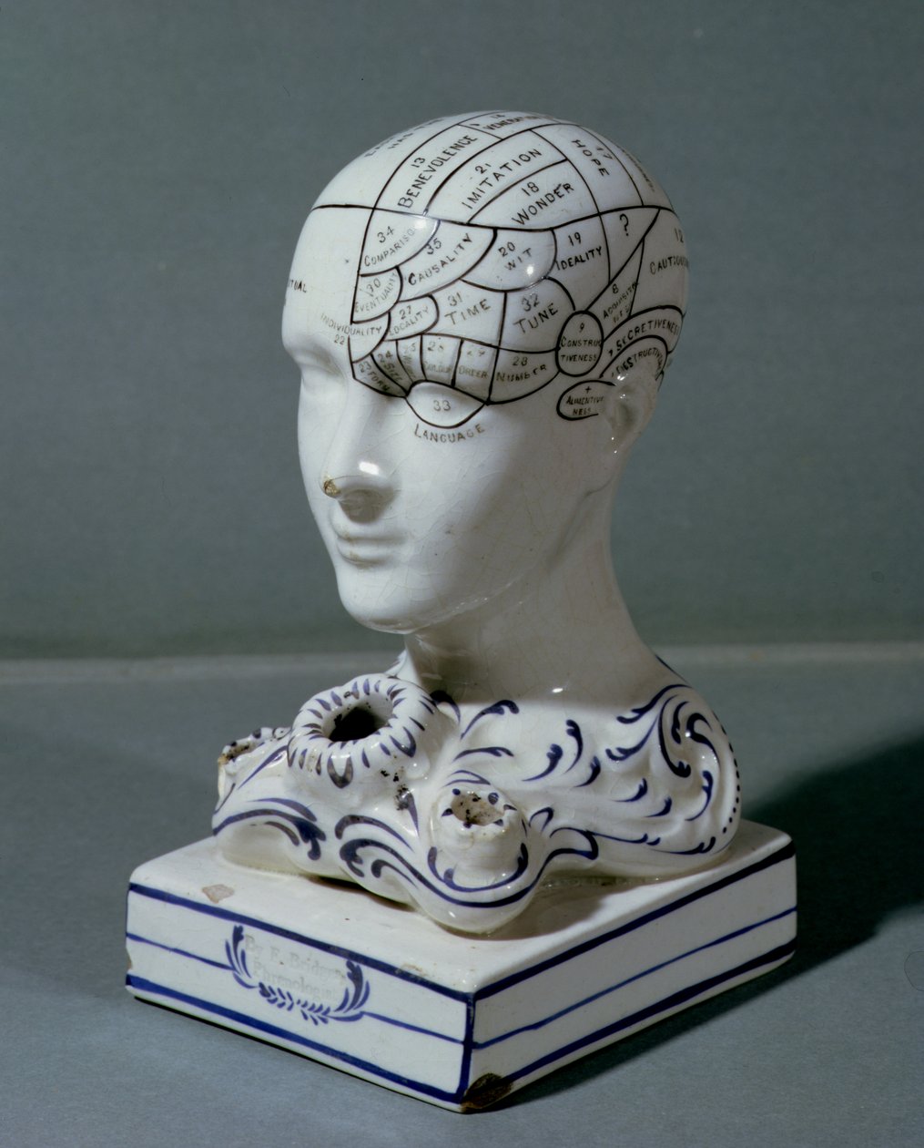 Cabeza frenológica por el Dr. Frederick Bridges (porcelana) de English School