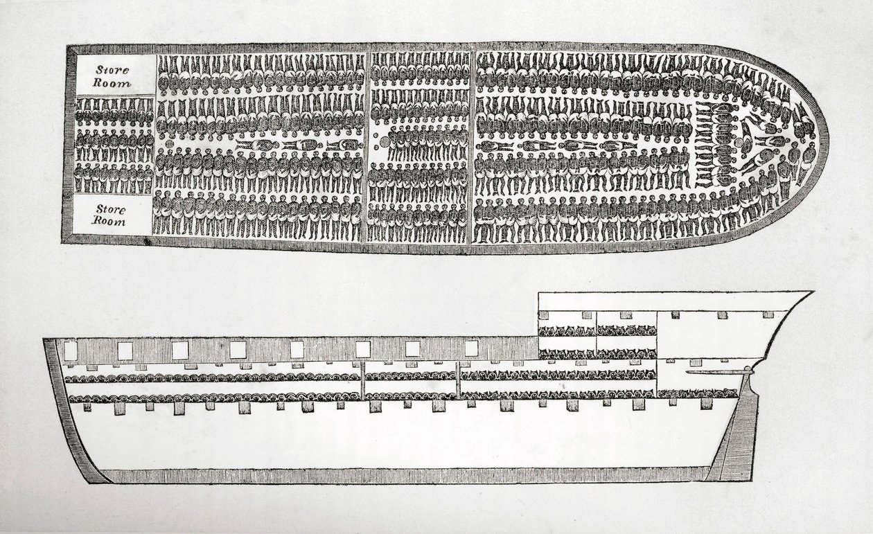 Plano que muestra cómo se transportaban los esclavos a bordo de un barco de esclavos en el siglo XVIII grabado de English School