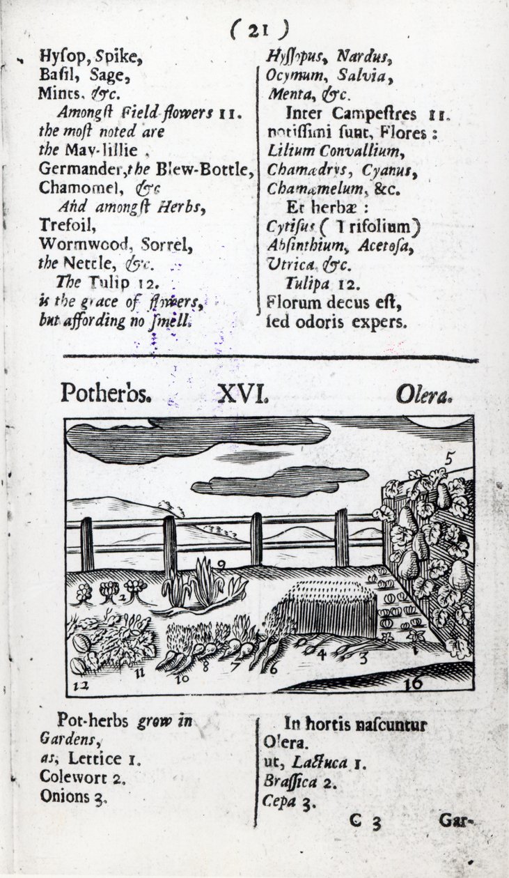 Agricultura de 