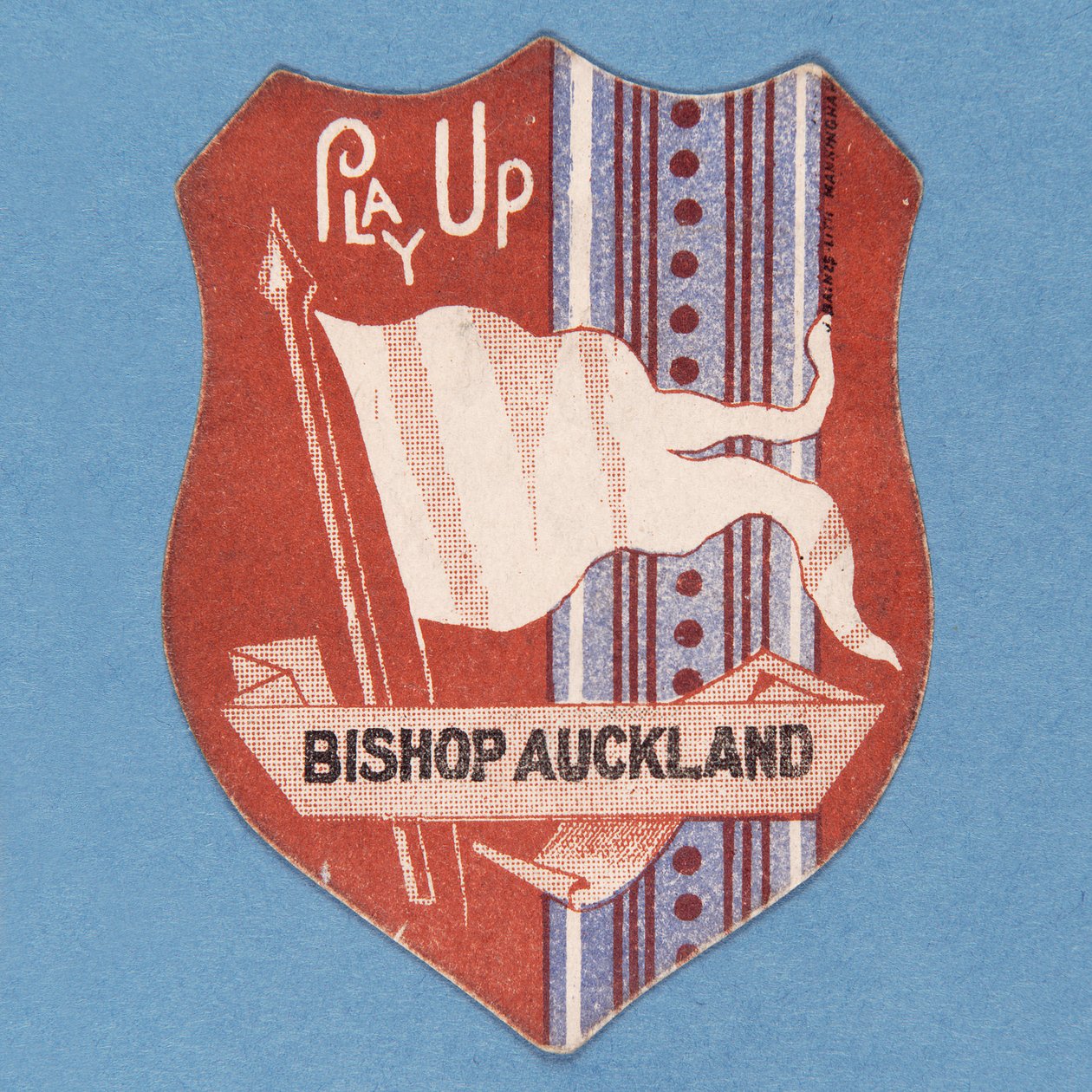Juega Bishop Auckland de English School