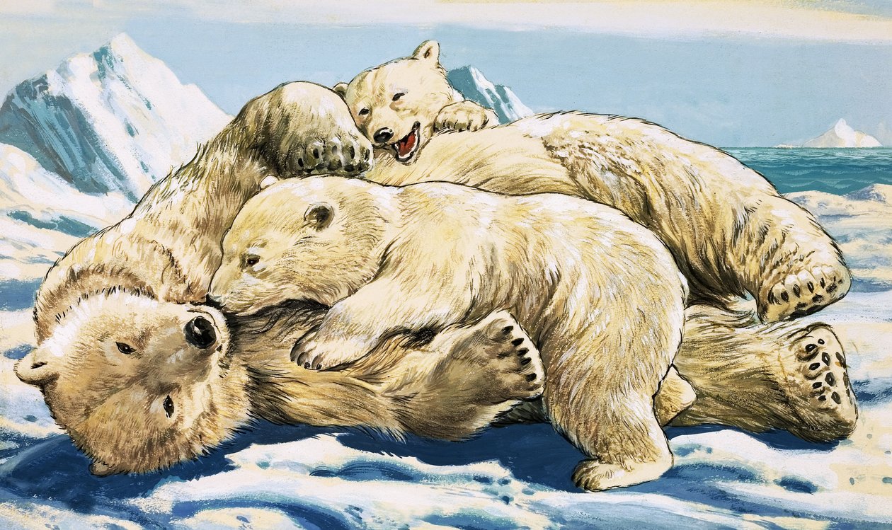 Oso polar y cachorros (gouache sobre papel) de English School