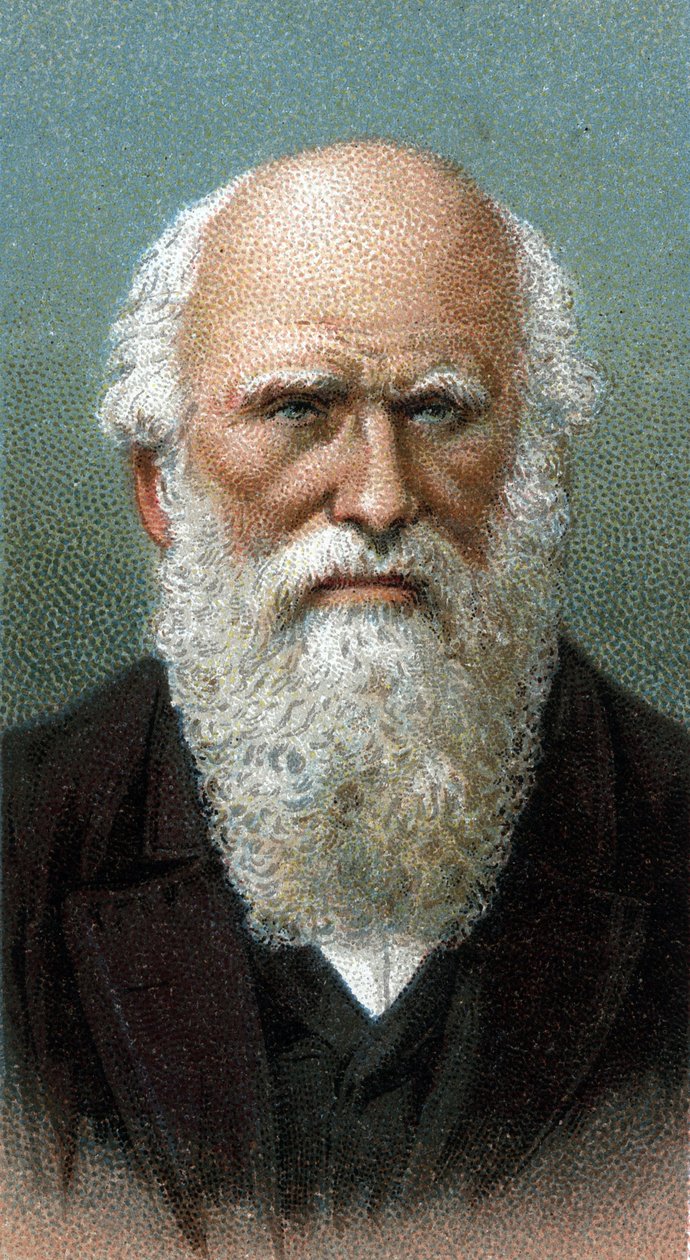Retrato de Charles Robert Darwin (1809-1882) - De la serie “Líderes de Hombres” - Cromolitografía - Escuela Inglesa, siglo XX de English School
