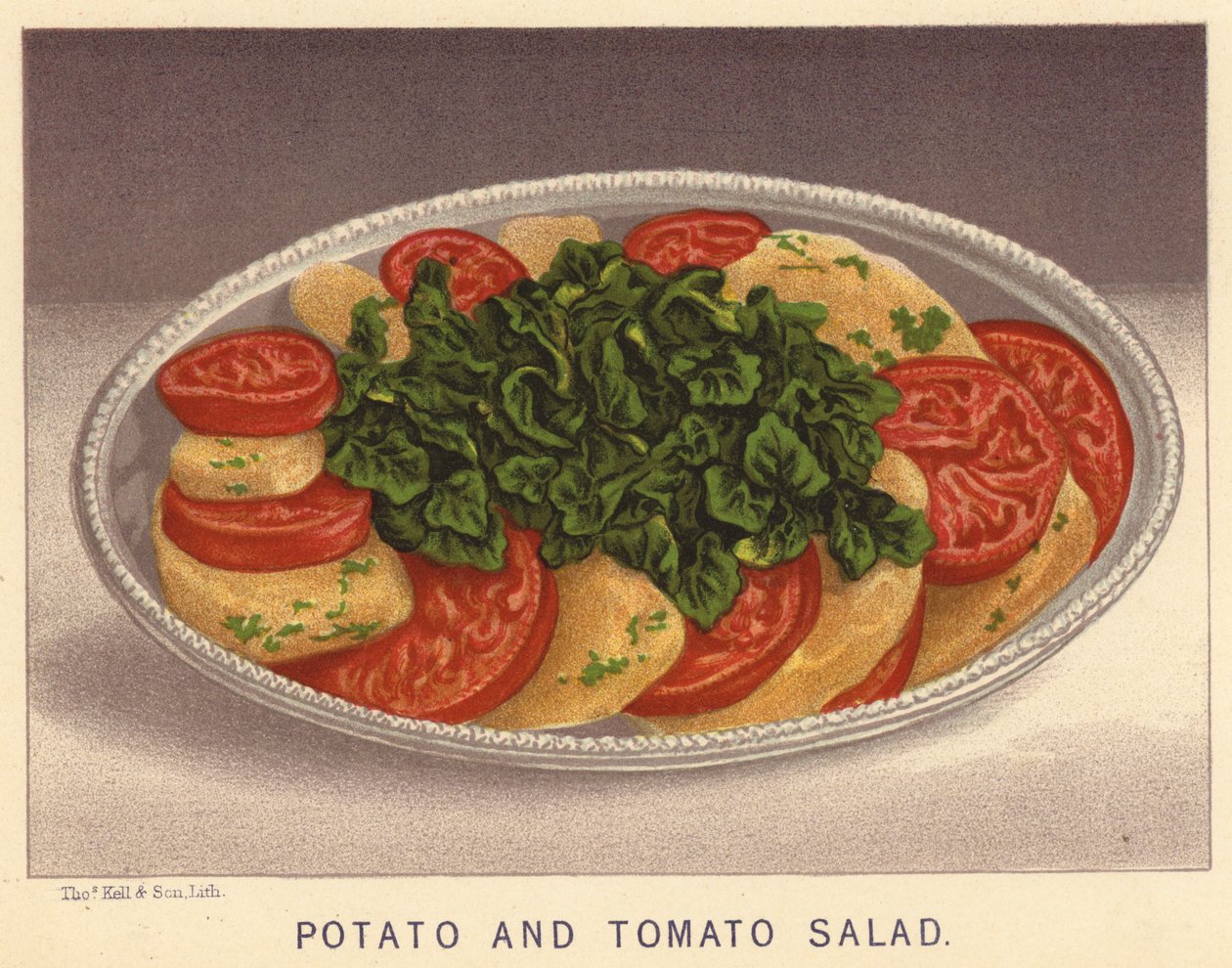 Ensalada de patata y tomate (litografía en color) de English School