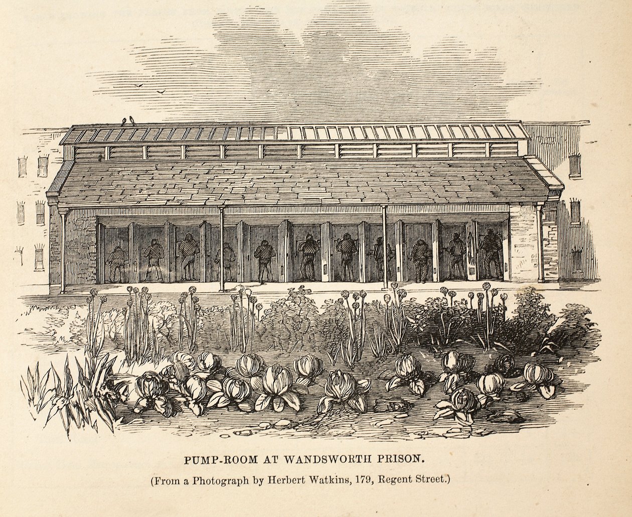 Sala de bombas en la prisión de Wandsworth, ilustración de Las prisiones criminales de Londres y escenas de la vida en prisión de Henry Mayhew y John Binny, pub. 1862 de English School